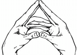 mudra-paryashiy-lotos