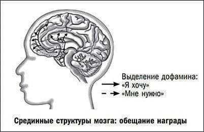 OBESHYANIYE NAGRAD