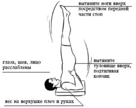 upragzneniye-berezka