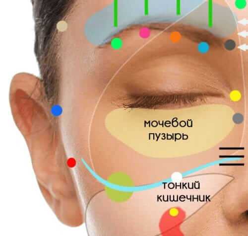 diagnostika_po_licy