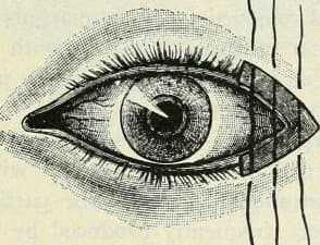 glaza