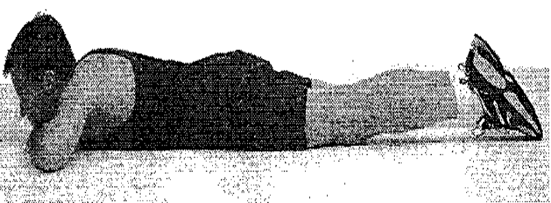 02_2018