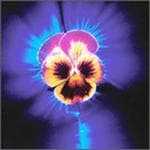 kirlian
