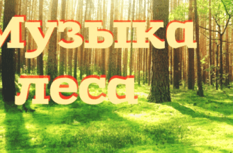muzyka_lesa