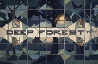video-deep-forest-night-bird