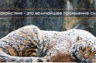 контролировать свои эмоции