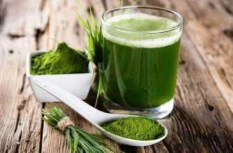 spirulina