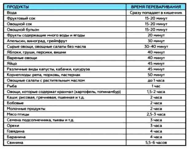 Время переваривания различных продуктов
