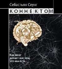 konnektom