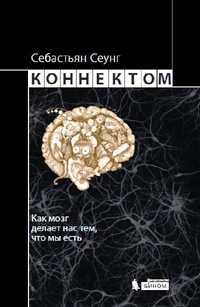 konnektom