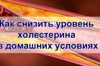 lechenie-holesterinemii-v-domashnih-usloviyah