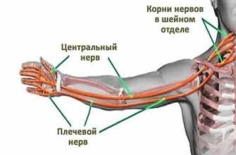 onemeniye ruk