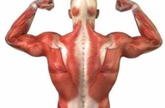 uprazgneniye pri bolyah v spine