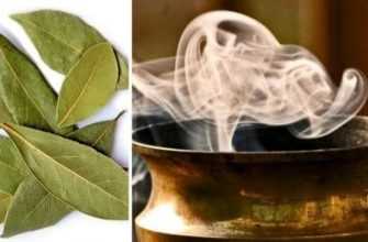 set_fire_to_the_house_in_the_bay_leaf