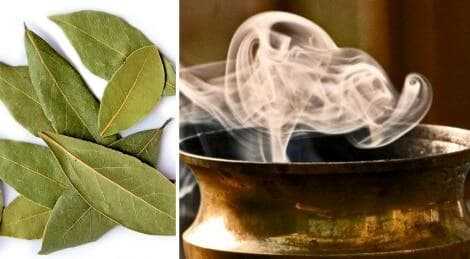 set_fire_to_the_house_in_the_bay_leaf