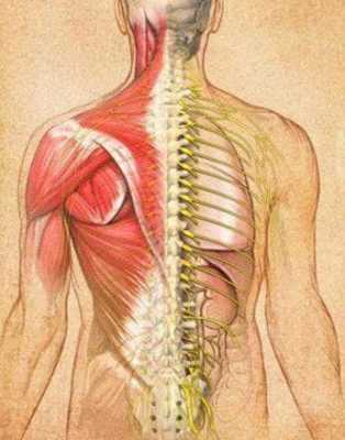 osteopatiya