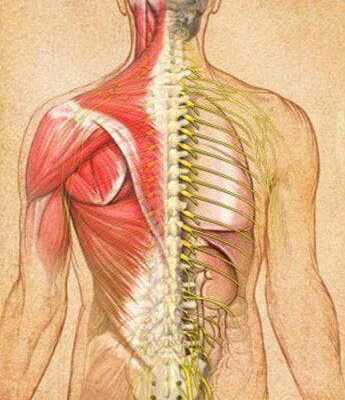osteopatiya