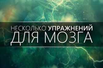 mozg neyrobika