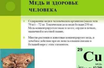 polza_medi