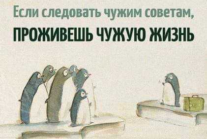 sovety_pogonya