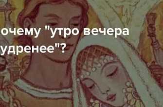 psitehnika-perehvatchik
