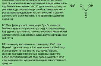 soda-pishevaya-1