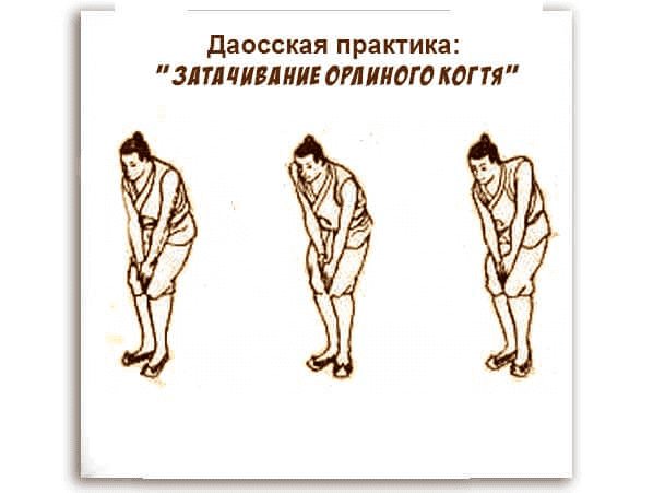 zatachivaniye-orlinogo-kogtya