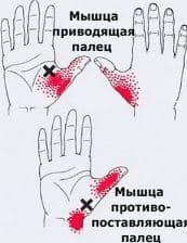 cacdccfdadcf
