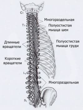 edbcccbda