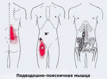 afbbbfcccefb