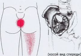 cefcecafbcb