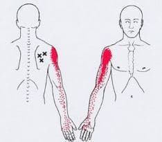 fdebcecbecae